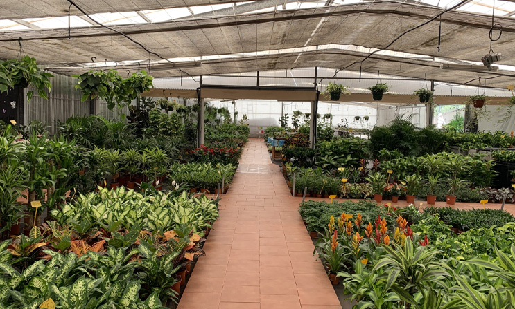 Análisis del suelo y del microclima: bases para una elección eficiente