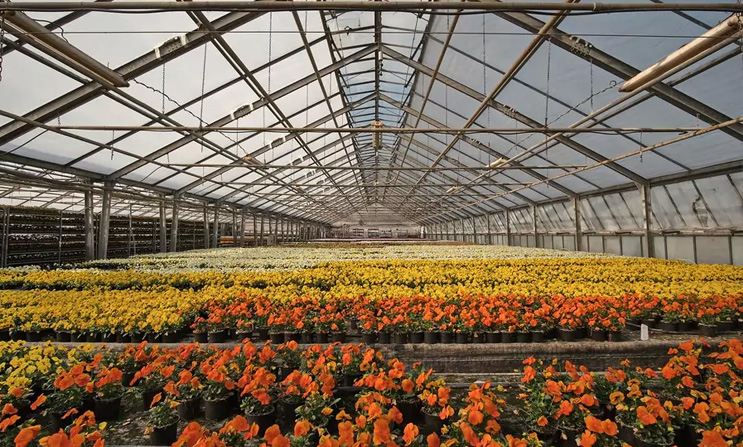 La importancia de una selección adecuada