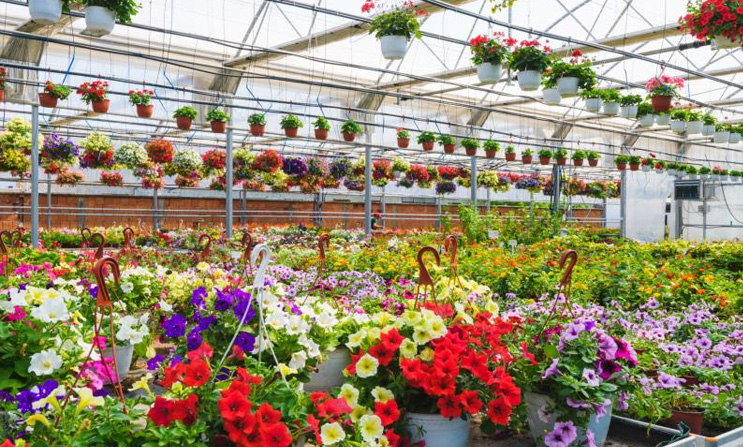 Sostenibilidad: un factor clave en la selección