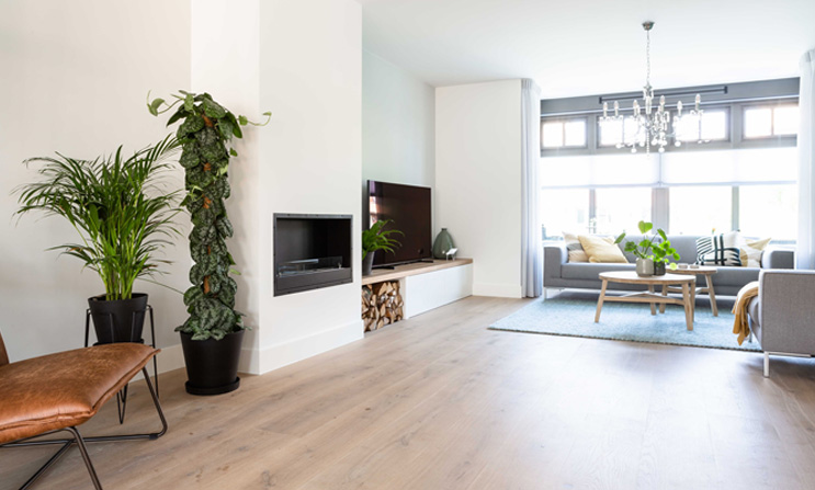 Guía completa para una decisión con criterio