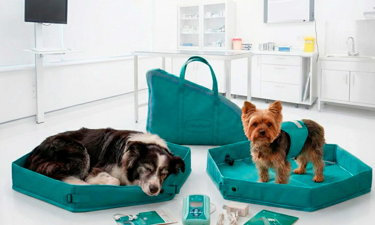 Alquiler de aparatos de magnetoterapia para mascotas: una tendencia que gana terreno