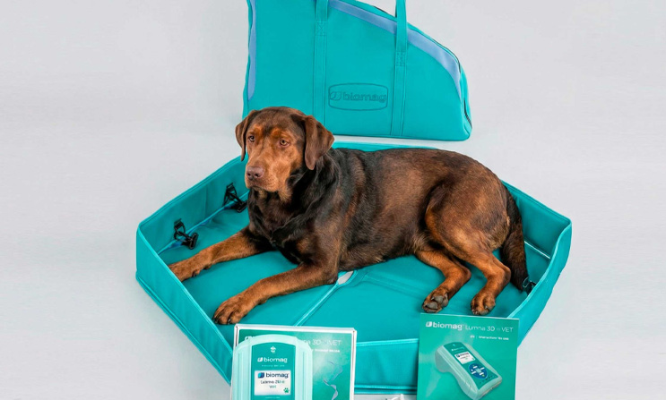 Magnetoterapia para mascotas: ¿por qué crece el alquiler de equipos?